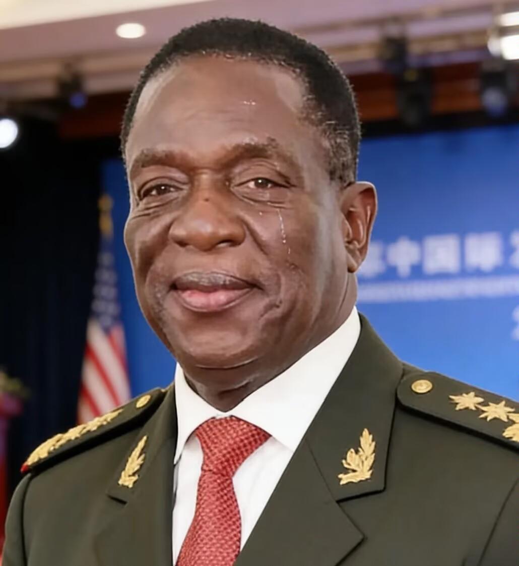 前脚巴拿马不顾中方反对，强行接管了巴拿马港口，后脚津巴布韦突然宣布暂停锂矿出口。