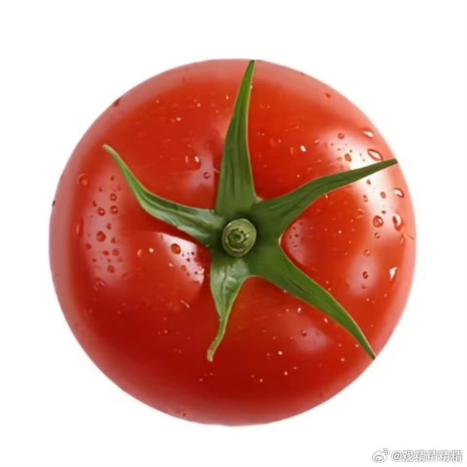 晋江疯了有人在晋江看写小说吗？现在不是番茄的天下吗？