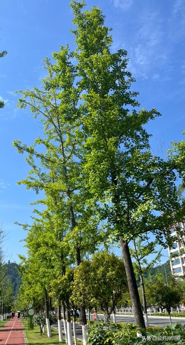 二十一世纪，人类文明前行的步伐越来越快，有一些负能量正在被识别出来，并逐步形成了