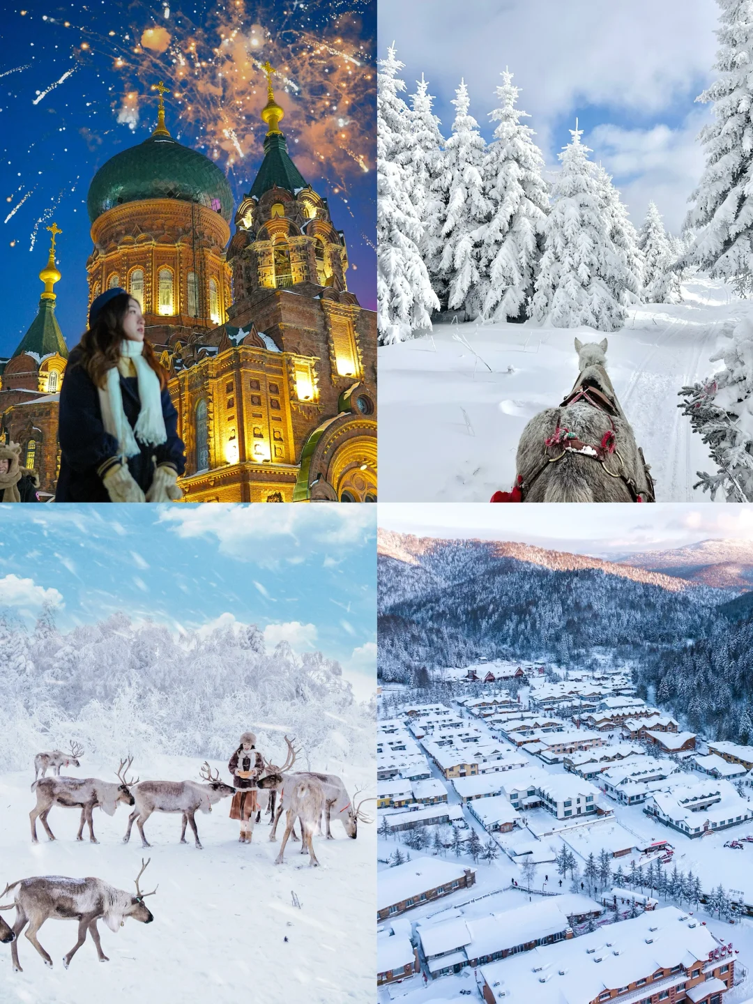 南方小土豆勇闯哈尔滨‼️ 童话东北7日攻略☃️