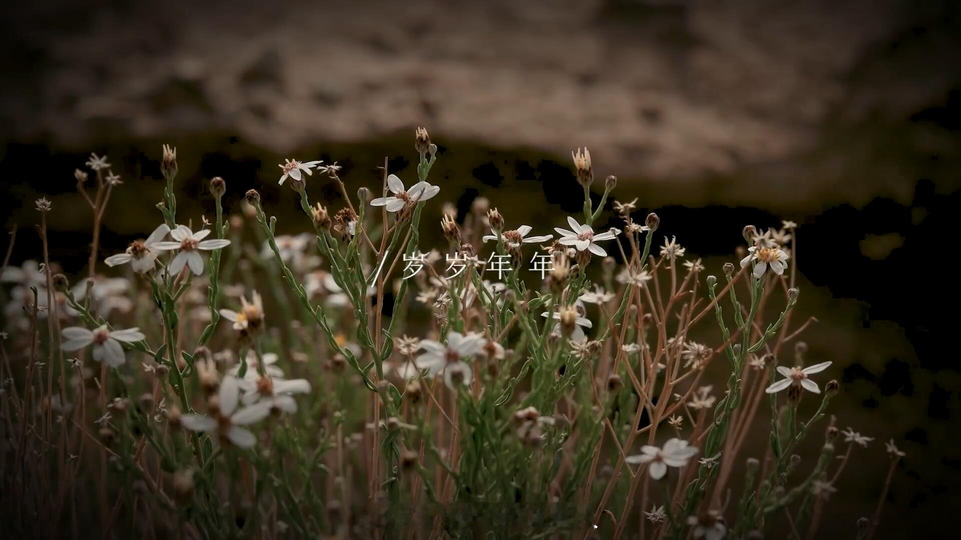 “本来想拍青海的经济发展，结果发现这个地方环保是排在经济前面的，于是最后选了很久