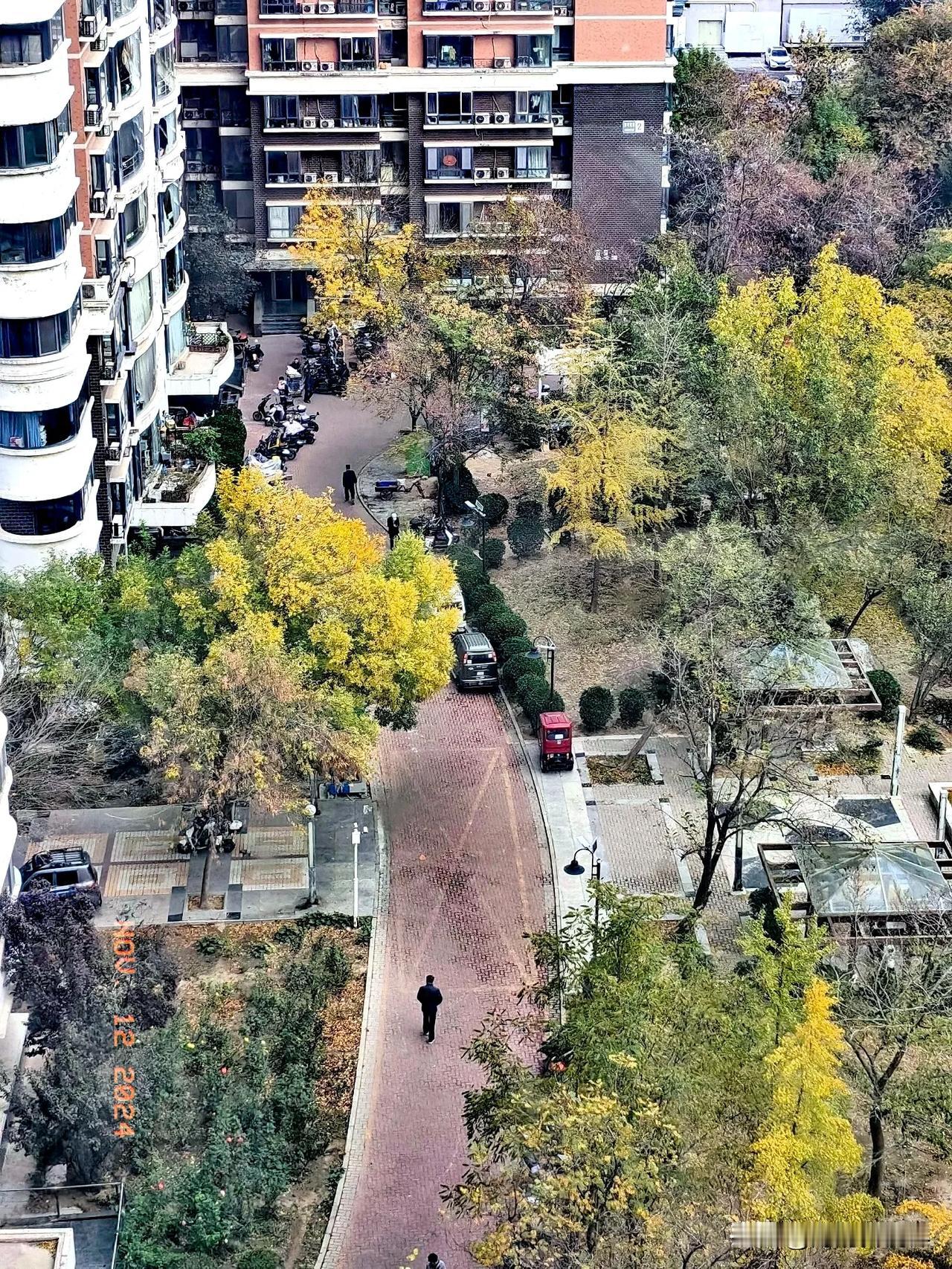 隔屏说声早，
心情特别好。
人生一辈子，
缘份是个宝。
相聚在头条，
开心永不老