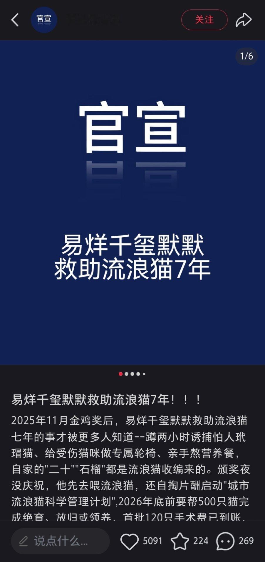 点开小红薯就是易烊千玺默默救助流浪猫心软软四儿谁来让这个四儿好受一点 