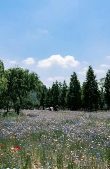题记 ——
当我到了垂垂老矣之年
我是否依然没有写好一首诗的勇气
那些记忆，仿佛