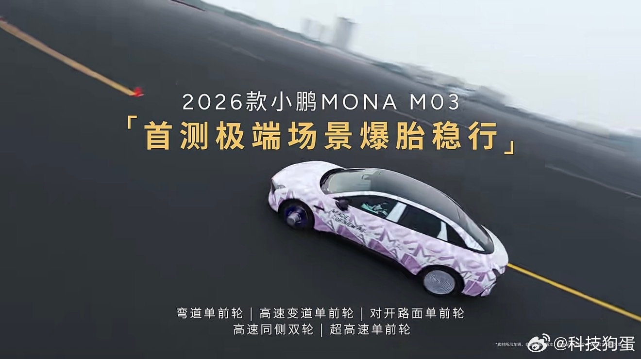 2026款MONA M03在安全上真是下了不少功夫，被动安全全面升级，还把爆胎稳