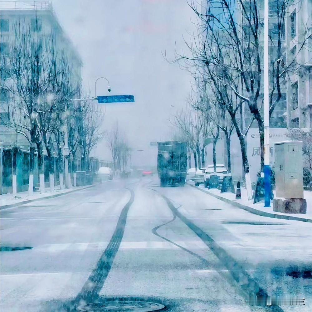 济南的雪没有爽约，这个冬天更加完整。

只要飘着雪花，心就可以静下来，变得不那么