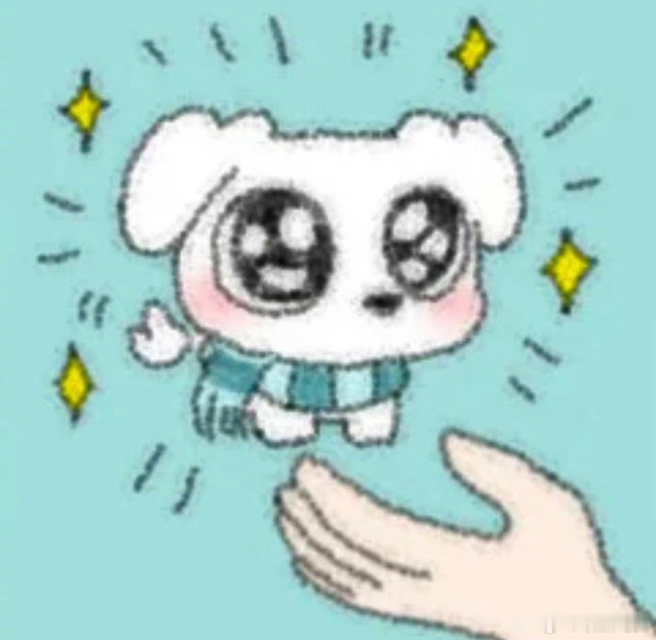 玩加早安 大家最喜欢什么品种的小狗呢2026lpl2026lck