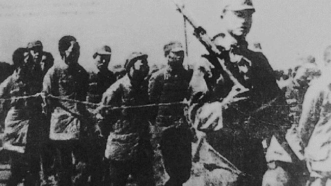 南京大屠杀期间，由于当年日军杀害的人实在太多了，整个城市里面到处都是尸体，当时日