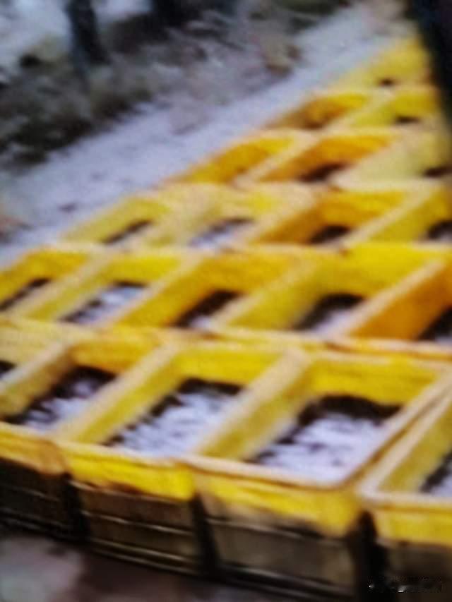 放生感悟