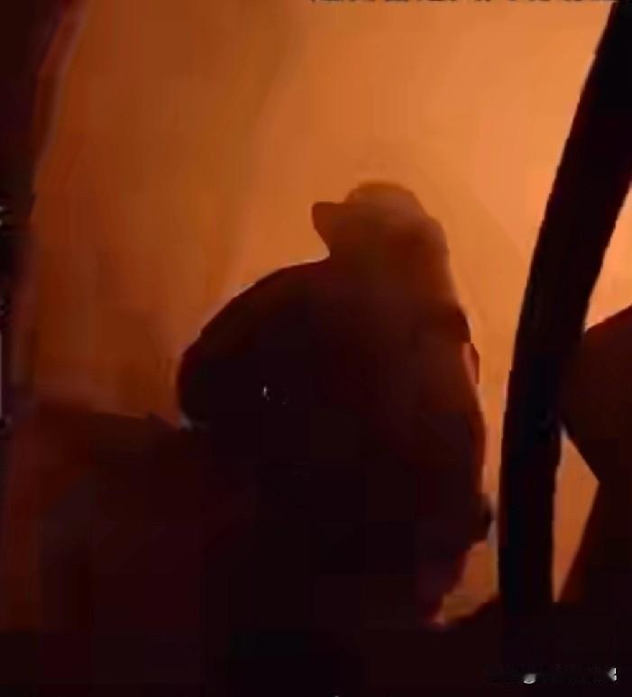 香港老人因为听儿子话没有逃生，生命最后一刻手握身份证，怕家人找不到自己。

这位