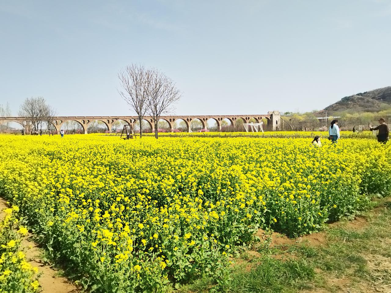 未来建筑行业不行了，是不是公园广场，景区开发有大量的土建工作：景观道路、停车场、