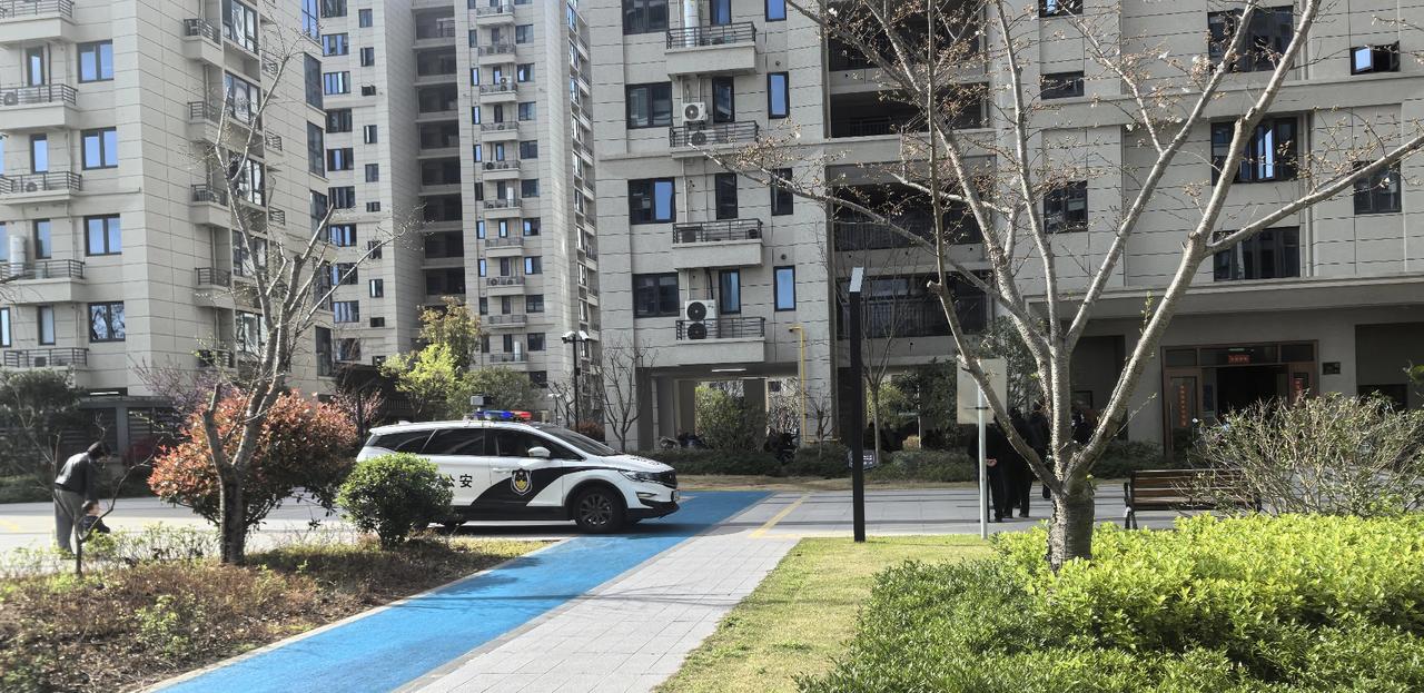 环境这么好的小区，竟然发生了如此奇葩的事
      婆婆家虽然是拆迁小区，但小