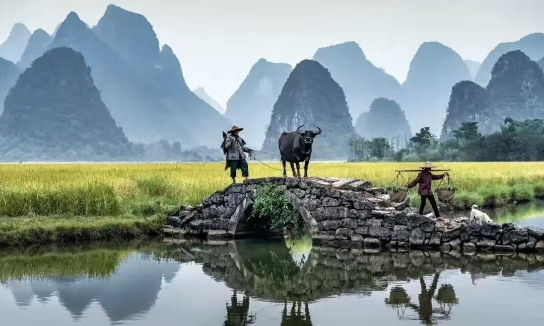 桂林要办艺术节我早就知道，但没想到今年的主题“化境”这么高级。

戏剧、音乐、美