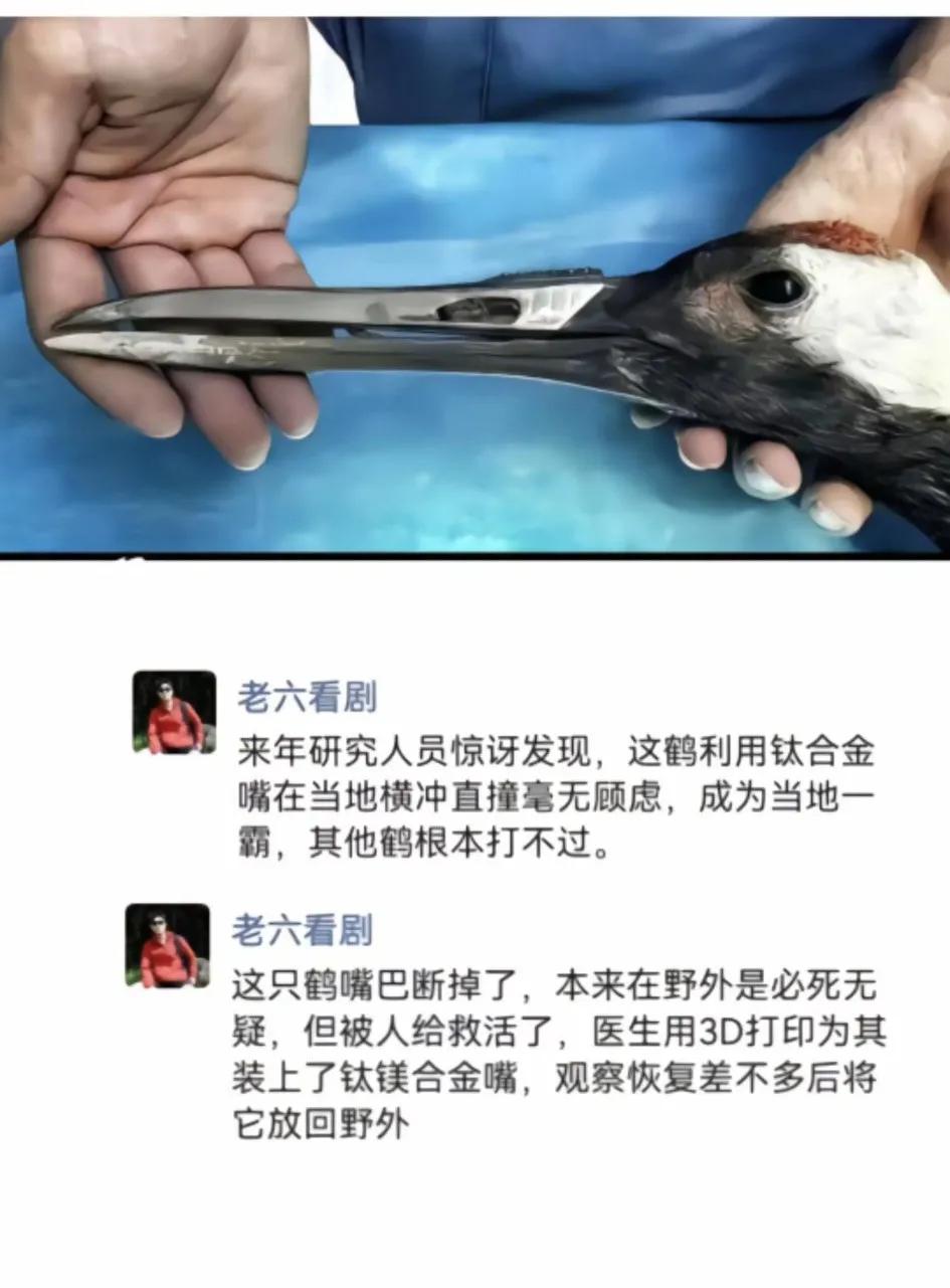 网络热梗辟谣！仙人抚我顶，授我钛合金，并没有让我无敌天下，其实是差点让我饿死！[