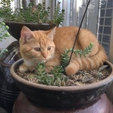 韩欢谈谈影视剧