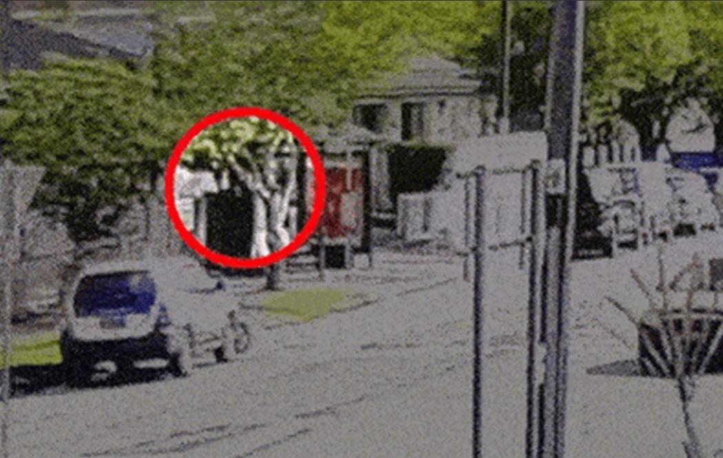 两名14日在澳大利亚海滩制造血腥枪击案的恐怖分子竟是父子俩，分别50岁和24岁。