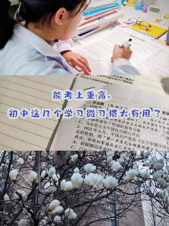 能考上重高，初中这几个学习微习惯太有用了