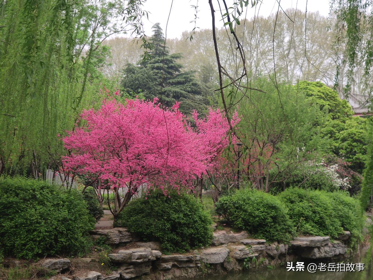 民间有个老俗话叫:一白遮百丑，一胖毁所有！说的很形象，要不咋说咱的老祖宗有智慧呢
