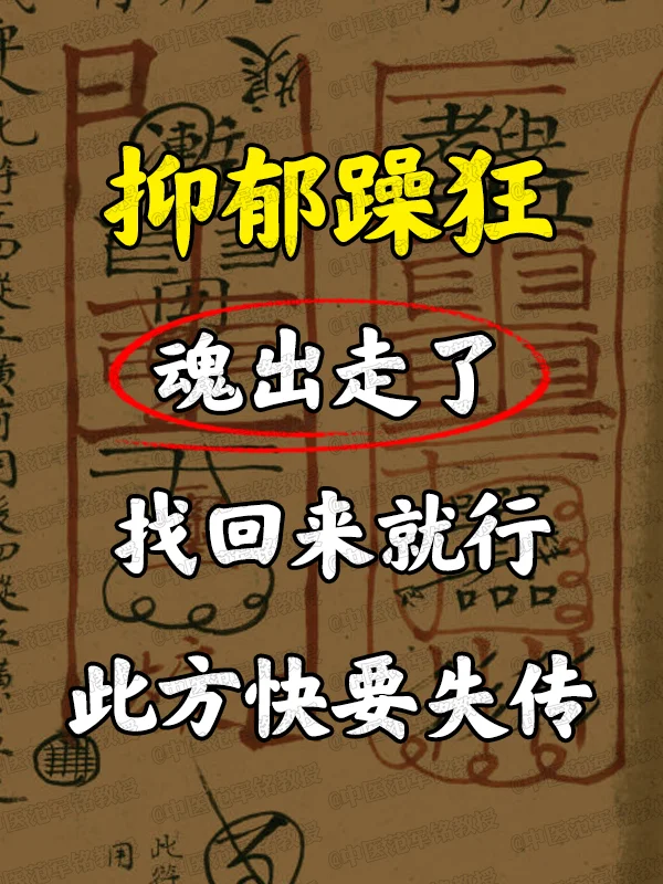 双相情感障碍——抑郁躁狂， hun出走了，  找回来就行，此方快要失传...