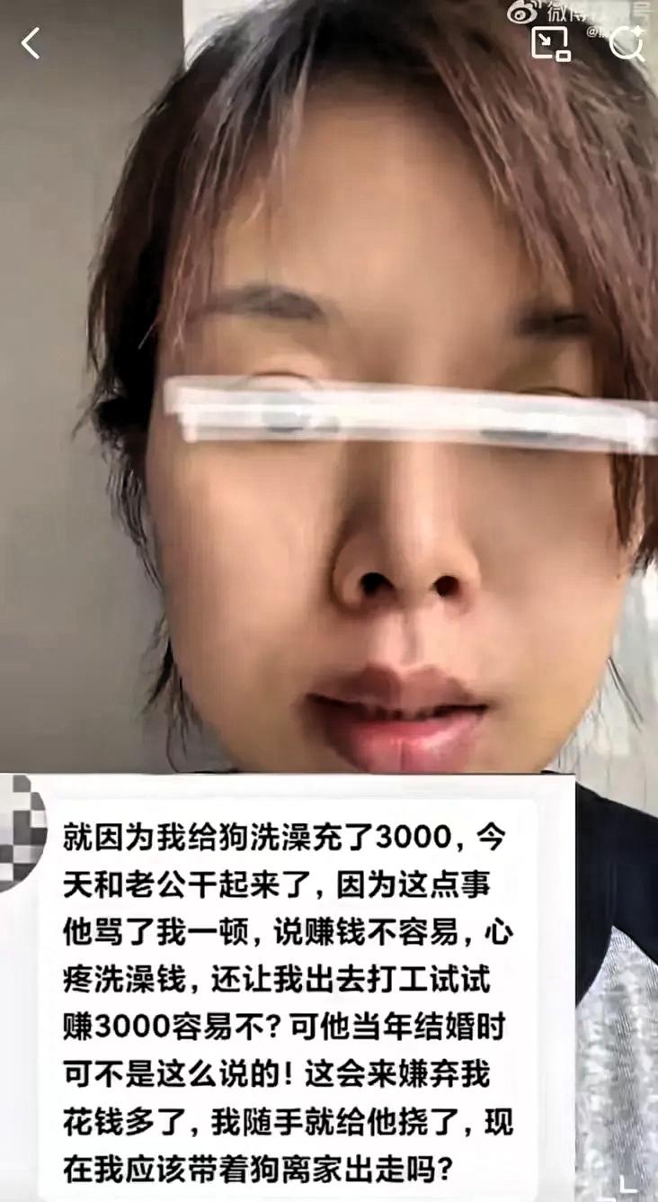一女子给狗洗澡充值3000元，丈夫知道后，崩溃大骂：“我活得狗都不如，现在赚钱那