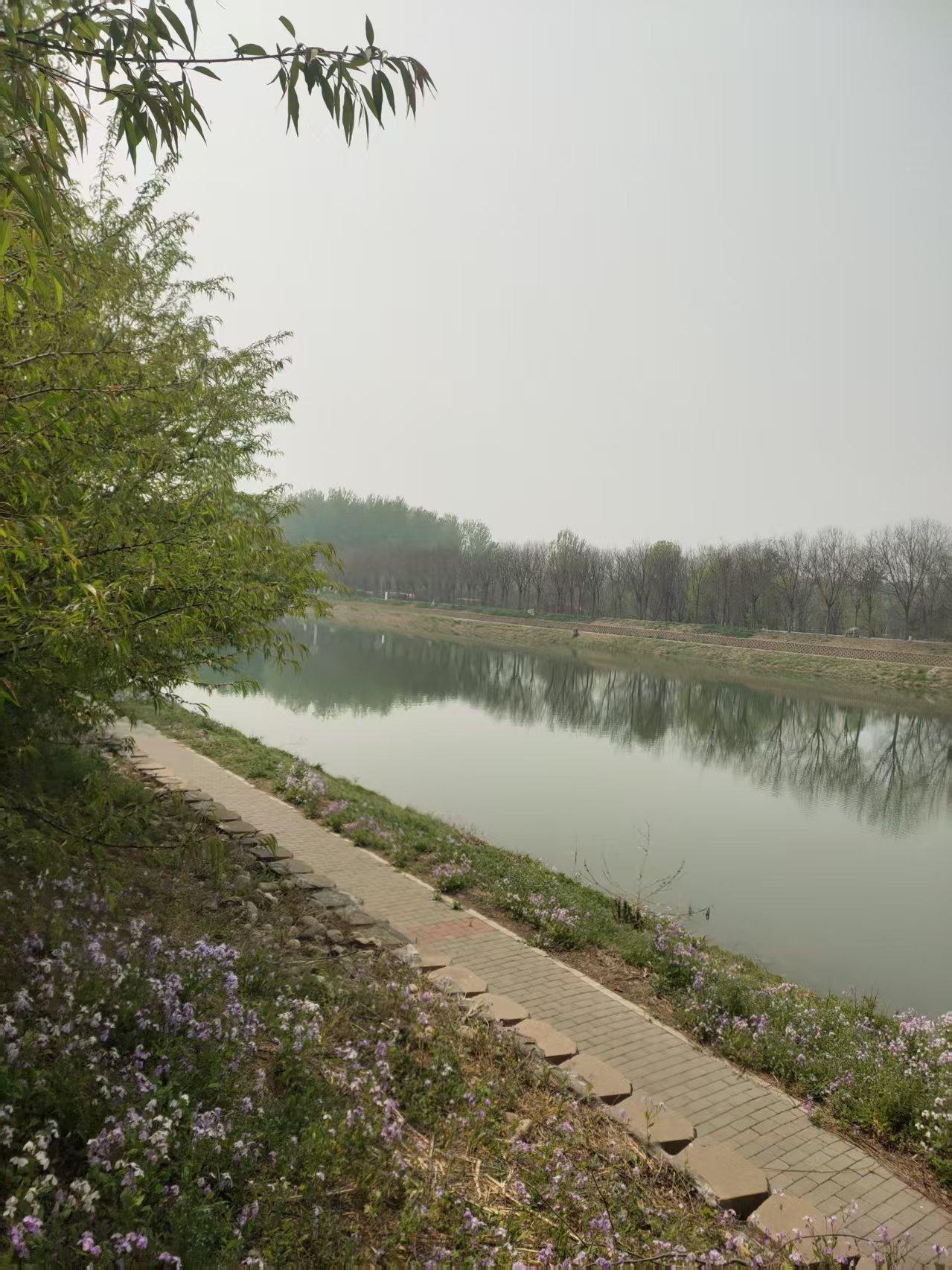各位石友，能发下你钟爱的奇石吗昨天，我又在顺义小中河岸边，捡到了一块心仪的奇石，