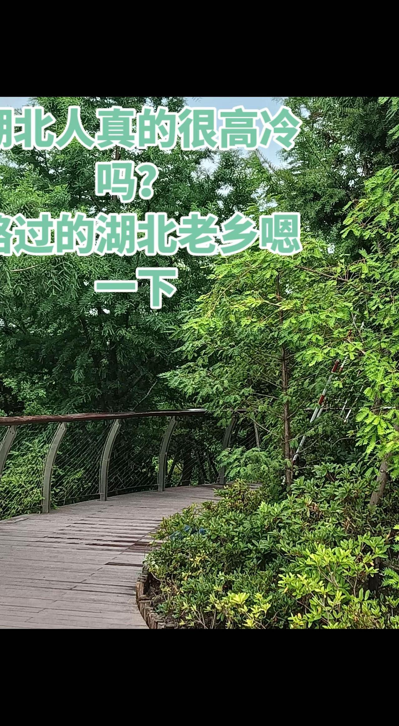 沪漂开始了。都说湖北人高冷，那你们是不知道上海人是高级冷。