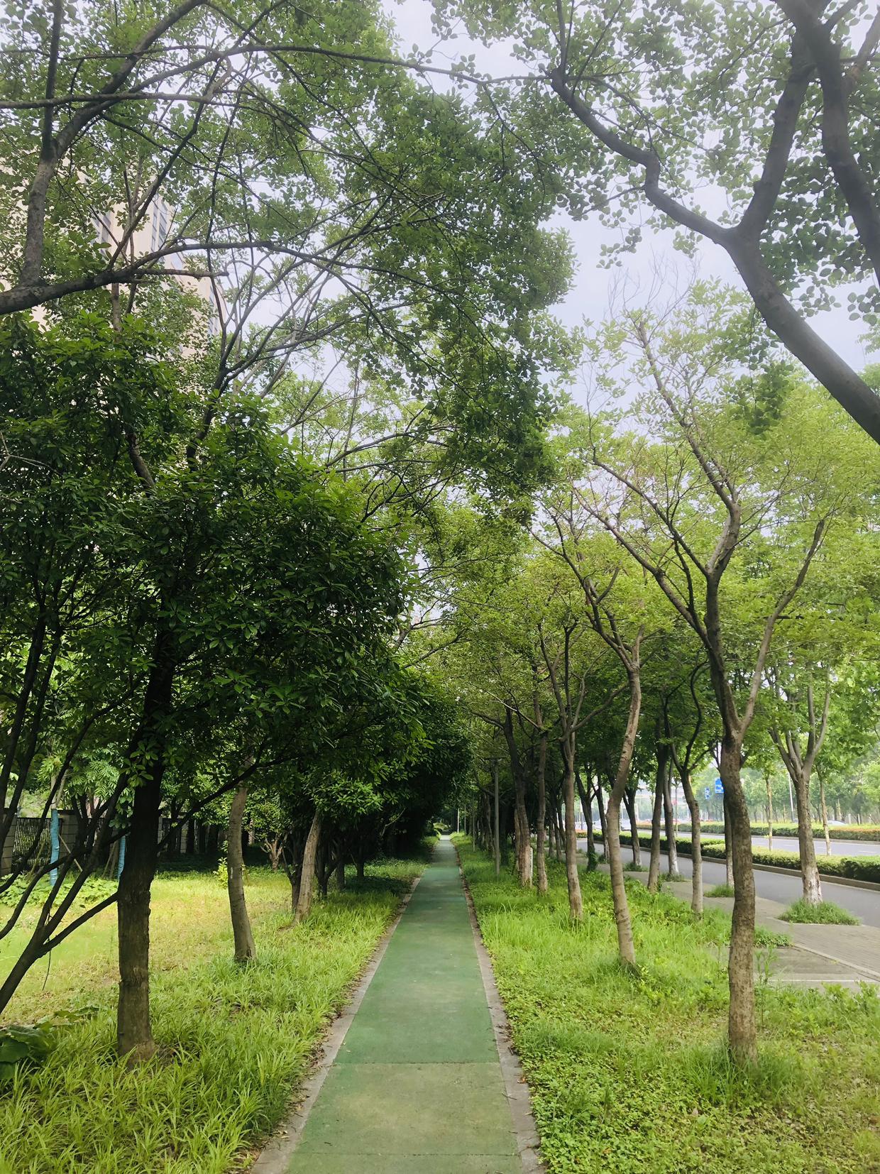 我的今日状态：😁轻松愉快
我这里的天气：🌤️多云
今日常州天气闷热，湿度大，
