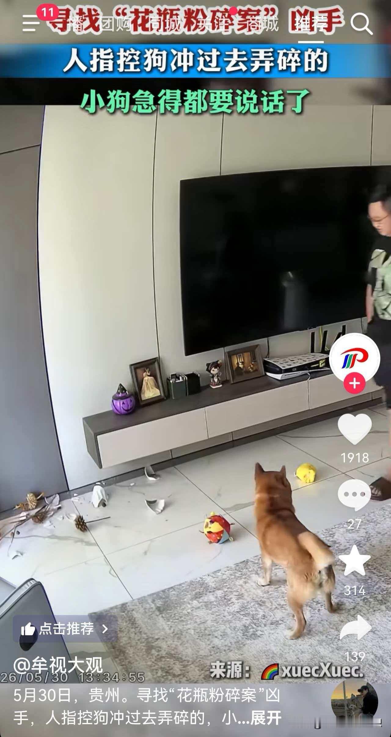 家里花瓶碎了主人咬定是狗子干的，小狗急得原地辩解，真相太反转
贵州一户人家家中上