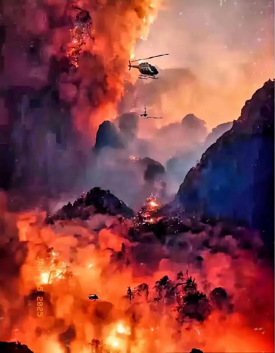 洛杉矶大火看着怎么这么像大明王朝中的改稻为桑，感觉差不多，要你消费，你选择不，我