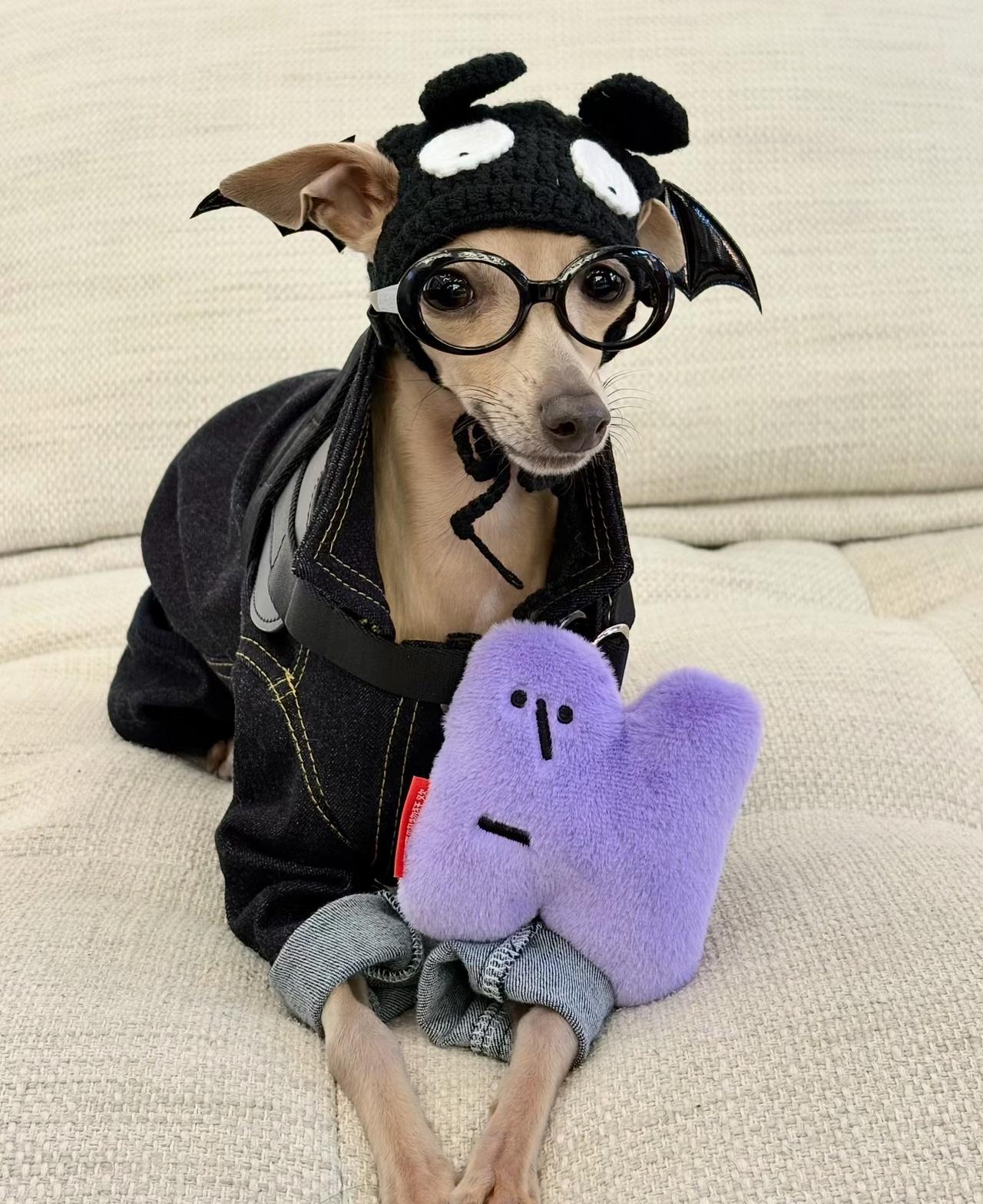 万圣节🎃 我派了我的小狗去寻找你。
姐弟俩今年化身暗黑小恶魔👿
身上挂着写着