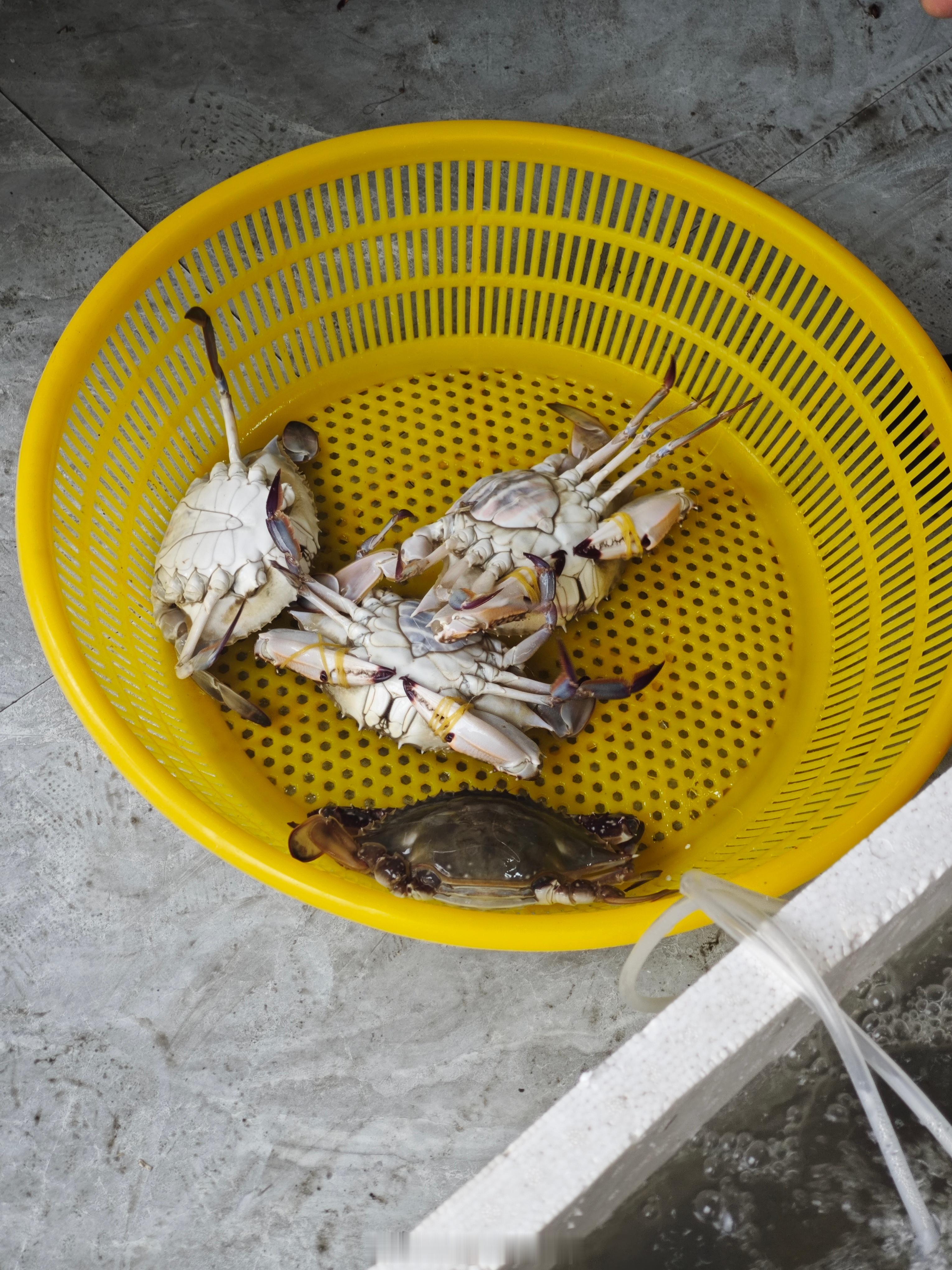 一起扔完垃圾一起去买菜海哥:你车上等我吧，我马上买好我:啊？那我来的意义在哪儿就