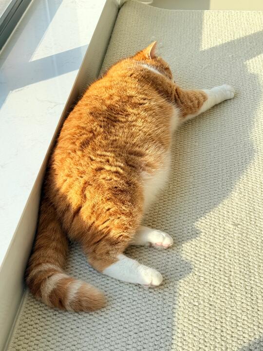 烤的焦焦的🍯🥐