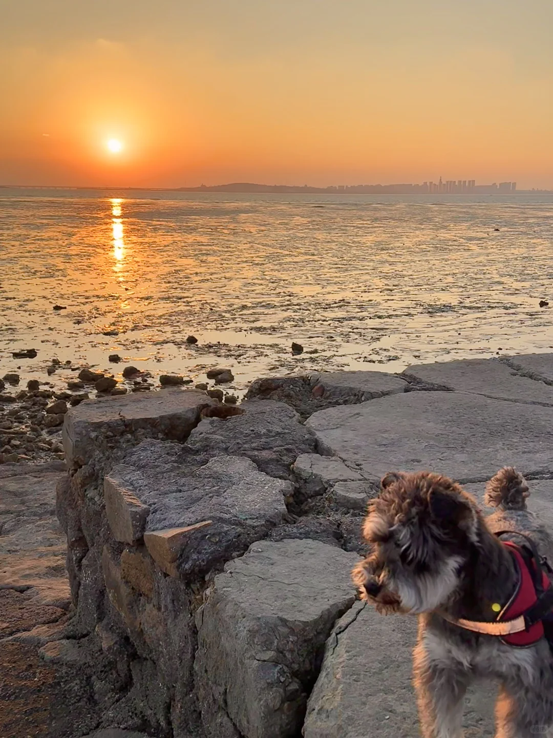 12.22实况！！青岛小众落日余晖海景