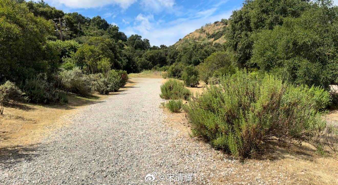 总在记忆里 （1601）：生在河南，长在深圳，埋在河南；我的儿子，一生坦荡，超凡