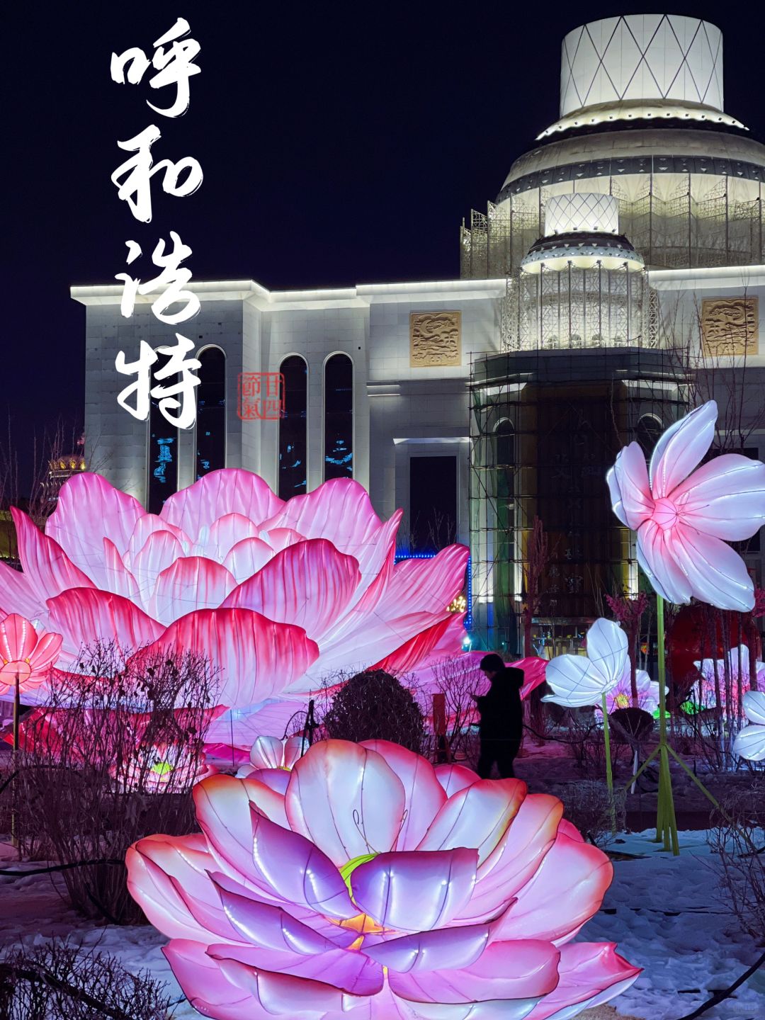 盘点身边的年味—呼和浩特跨年花灯攻略