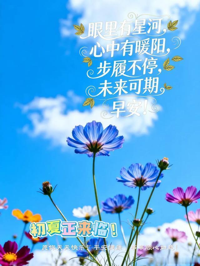 花束与晴空，是夏天的浪漫开场白～ 