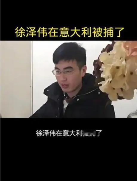 中国半导体大佬徐泽伟近日被意大利转送美国审判。
徐泽伟是很天真的，认为欧洲人是讲