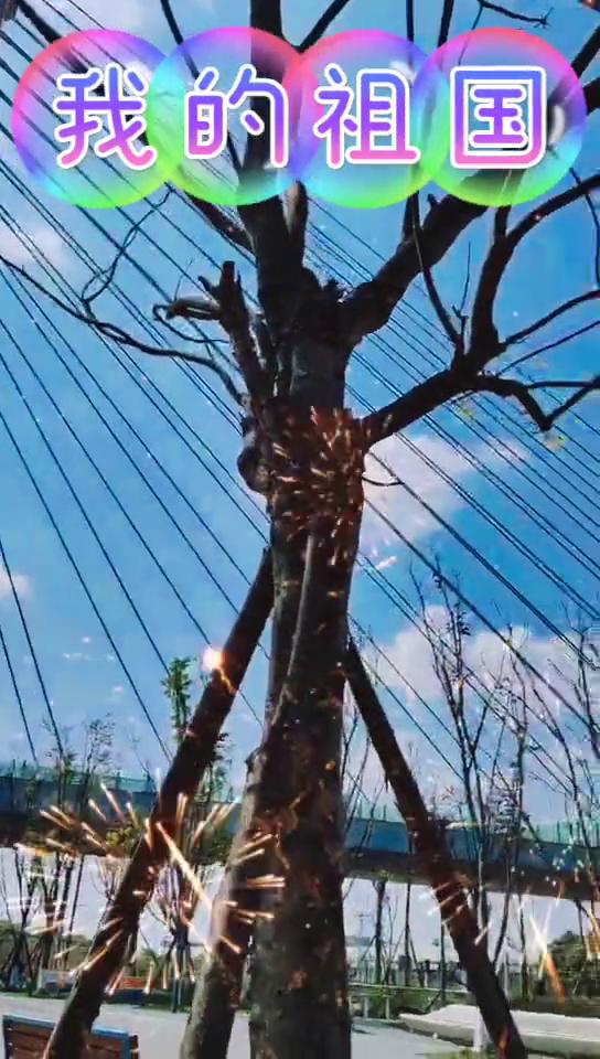 我的祖国。
DIRECTOR导演，红星闪烁，PERFORMER演员。
DATE日