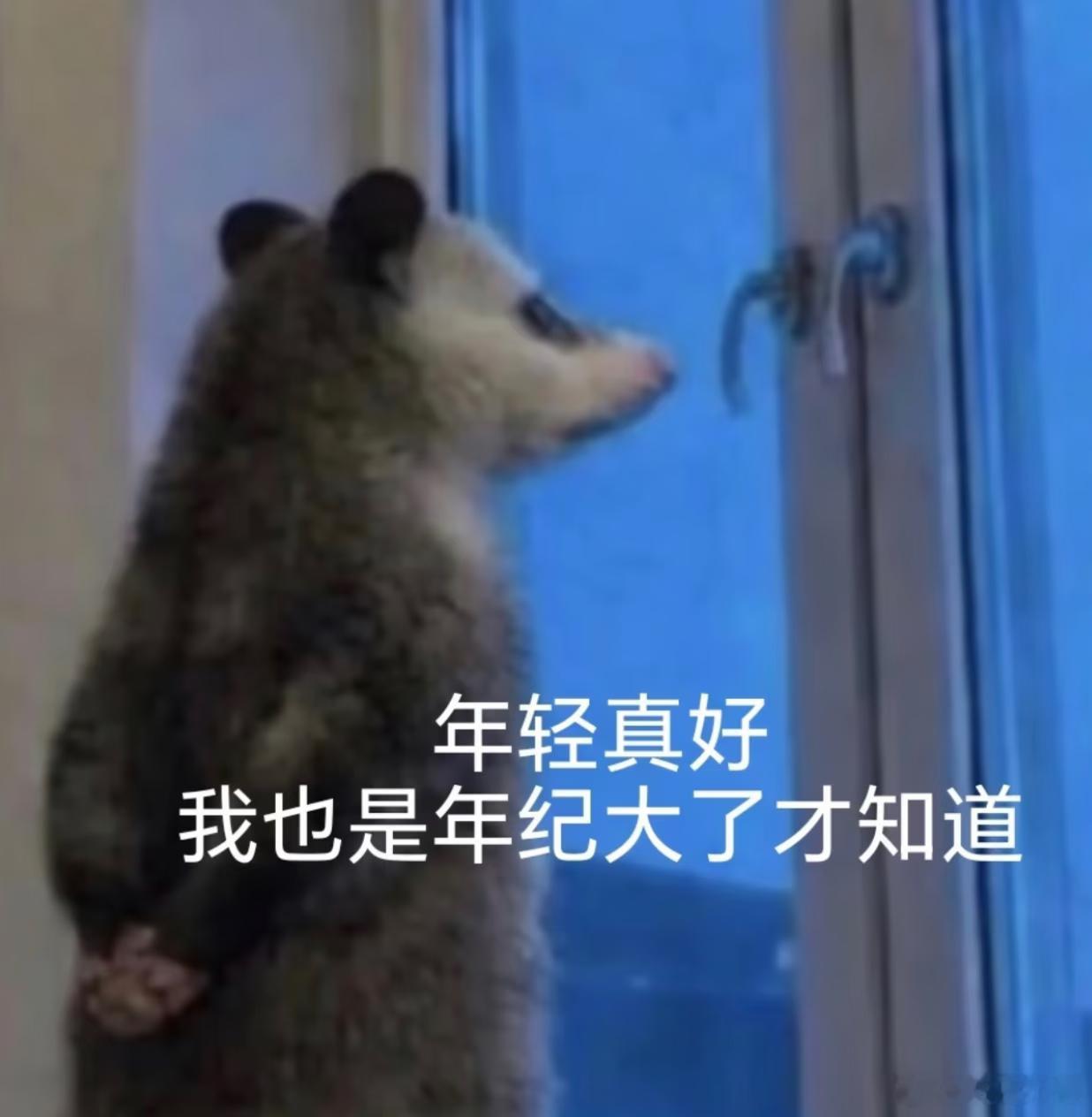 现在已经没人开腰疼的玩笑了长大了，上班对着电脑、下班躺沙发刷手机，一坐就是八九个