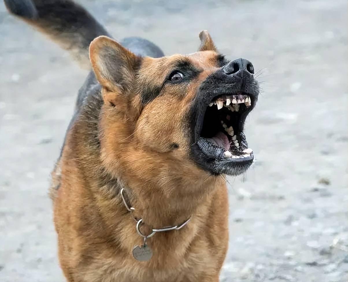 莫言作品人物形象种种丑陋，现实中确实存在，但都是个别极少数，同他的言论一样都是非