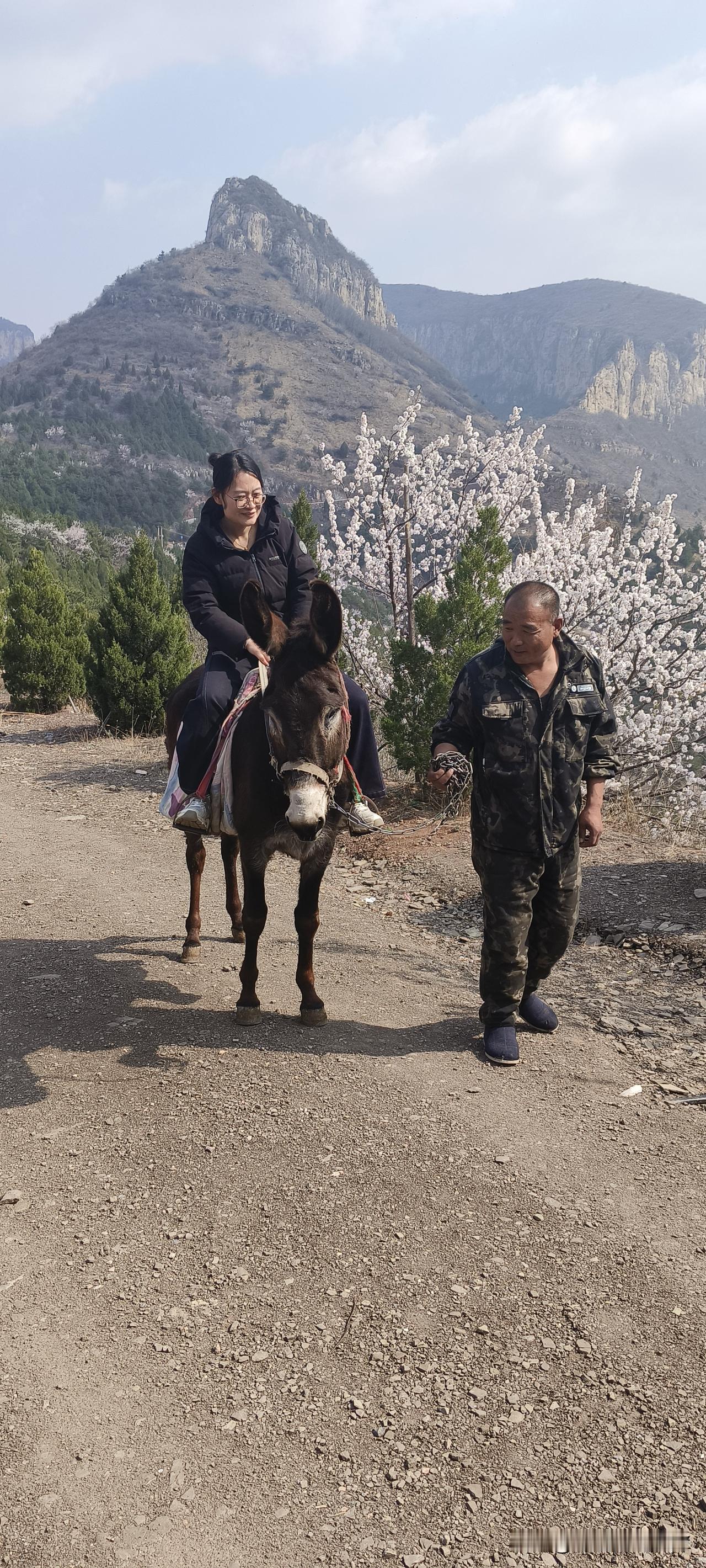 今天看到这对情侣，悠闲骑在驴背上，穿梭在山间小道。简直美到窒息。