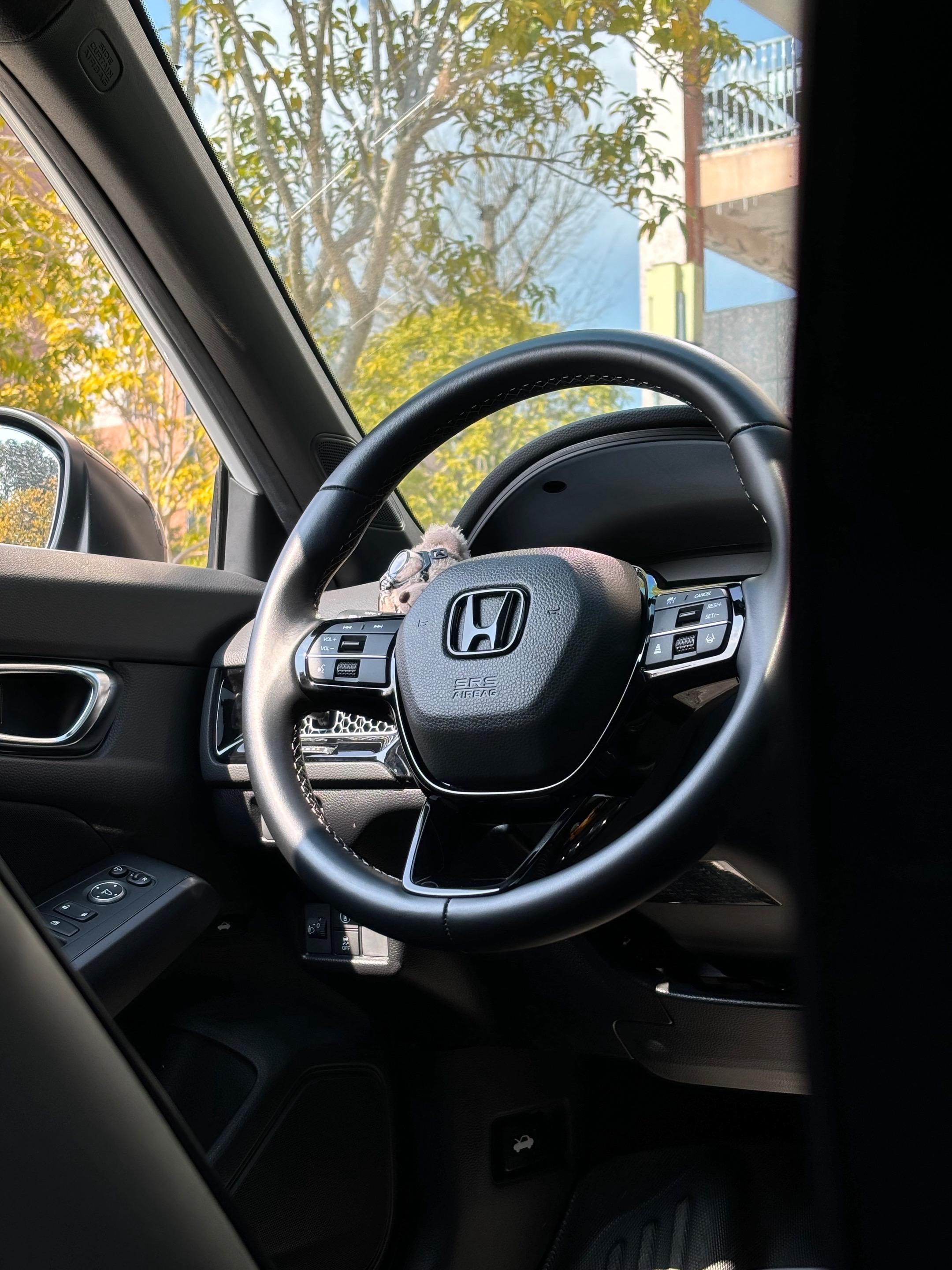 已经买了思域的车主，给即将入手的的兄弟们一些建议和忠告吧，每条评论都会看