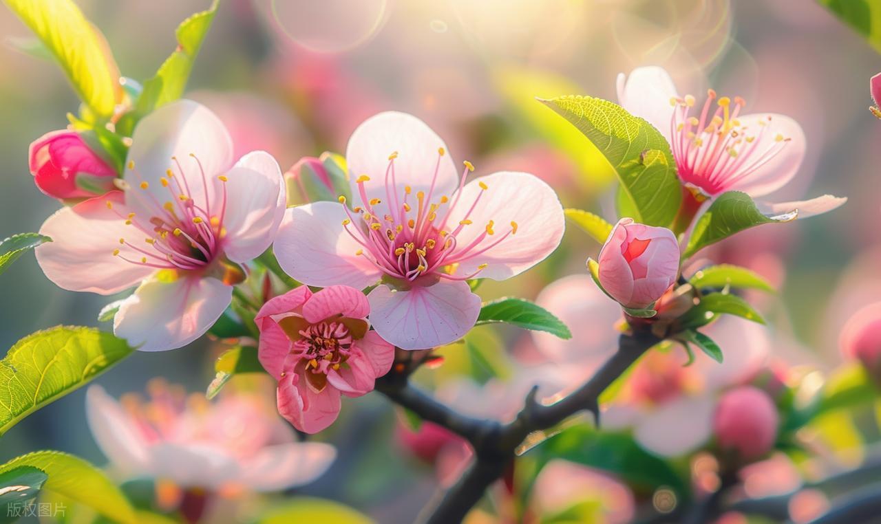 春天是阳气生发的季节，此时人体的阳气也向外生发，身体渐渐感到温暖。且随着气温的升