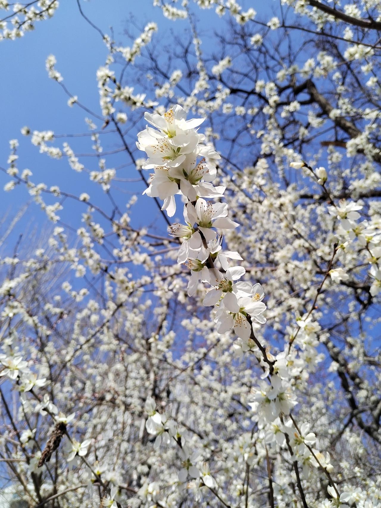 真修行人是不会向外寻求认同的，也不会证明自己。
修行是自己的事儿，证明给别人看是