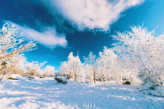 #吉林文旅又又又摇人了##春节休闲去哪玩#在南国广州，想滑雪那可是奢侈的念想，体