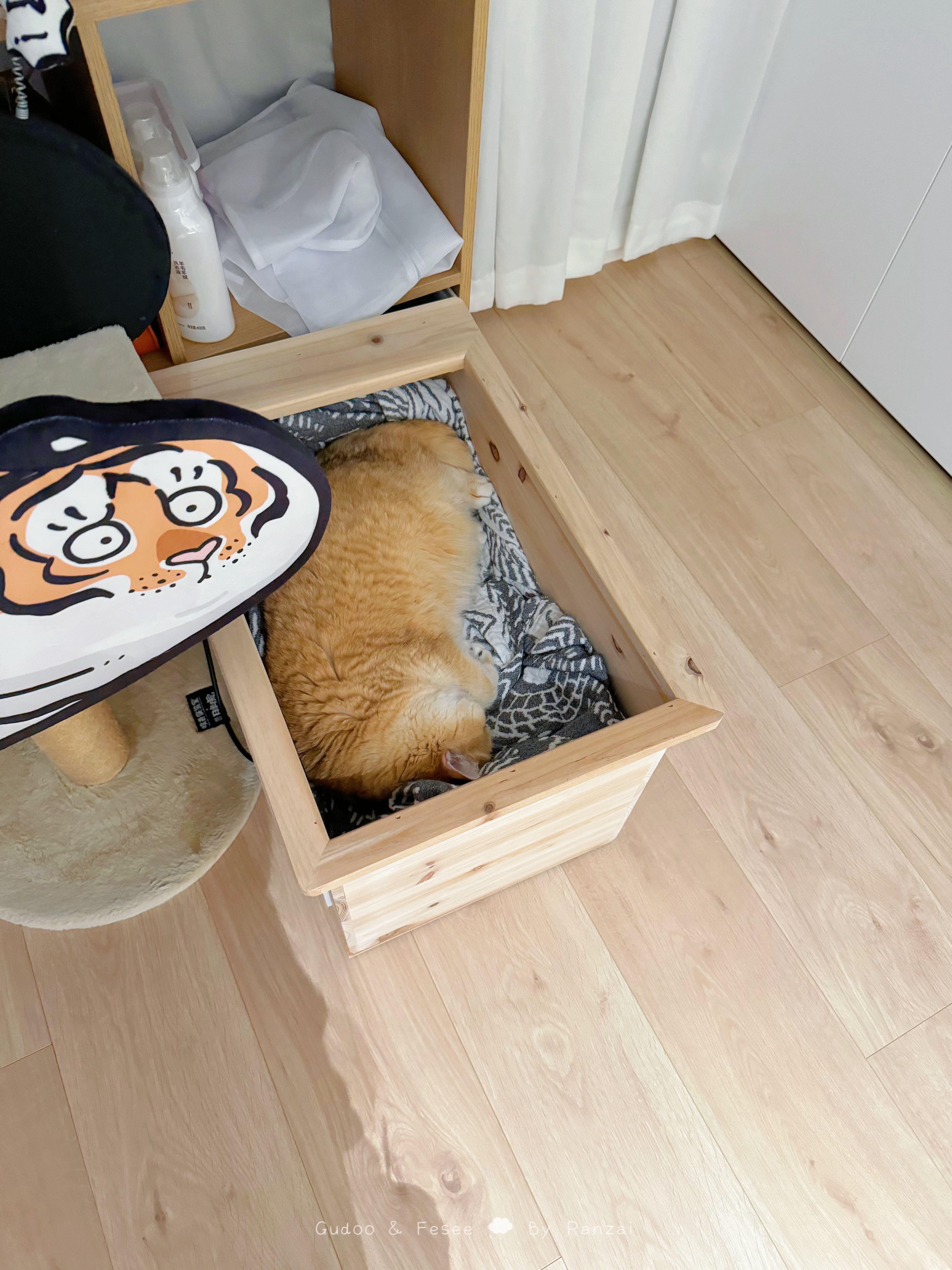 我服了她睡在这里真的能让我心跳漏一拍[跪了][跪了][跪了]#菇冬怎么肥四[超话