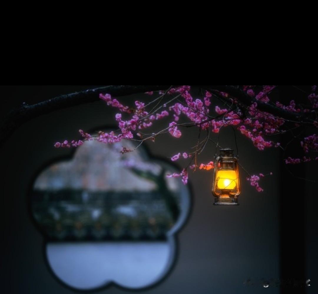 我们在花一样的年纪
不期而遇
又在暮年，渐行渐远。

陪你走完你的路，我也成了你