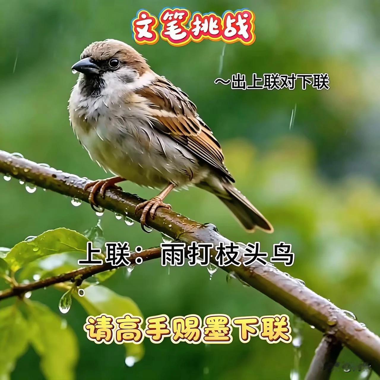 上联：雨打枝头鸟
下联：风吹池塘鸭