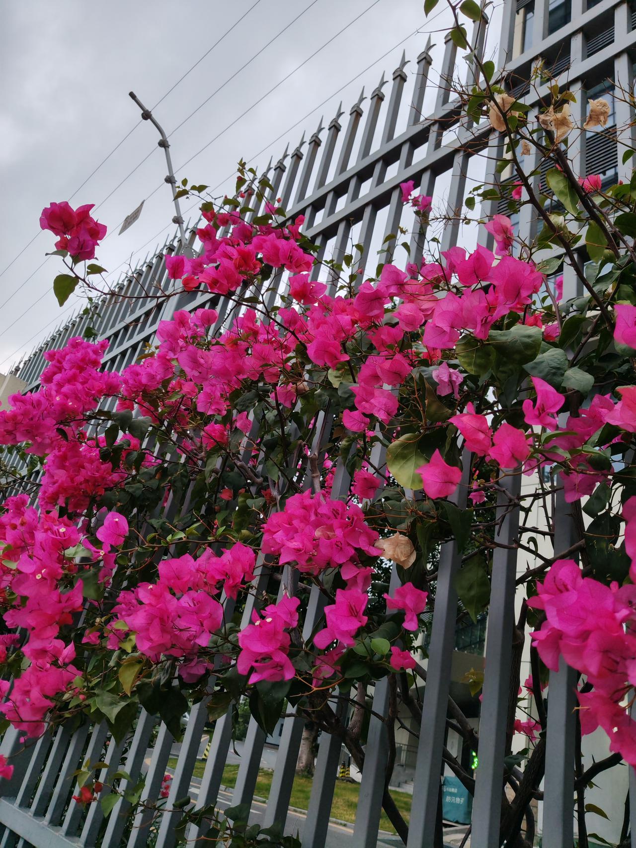 标普首次征服7000点，这可真是个载入史册的时刻。当地时间本周三，在企业财报预期