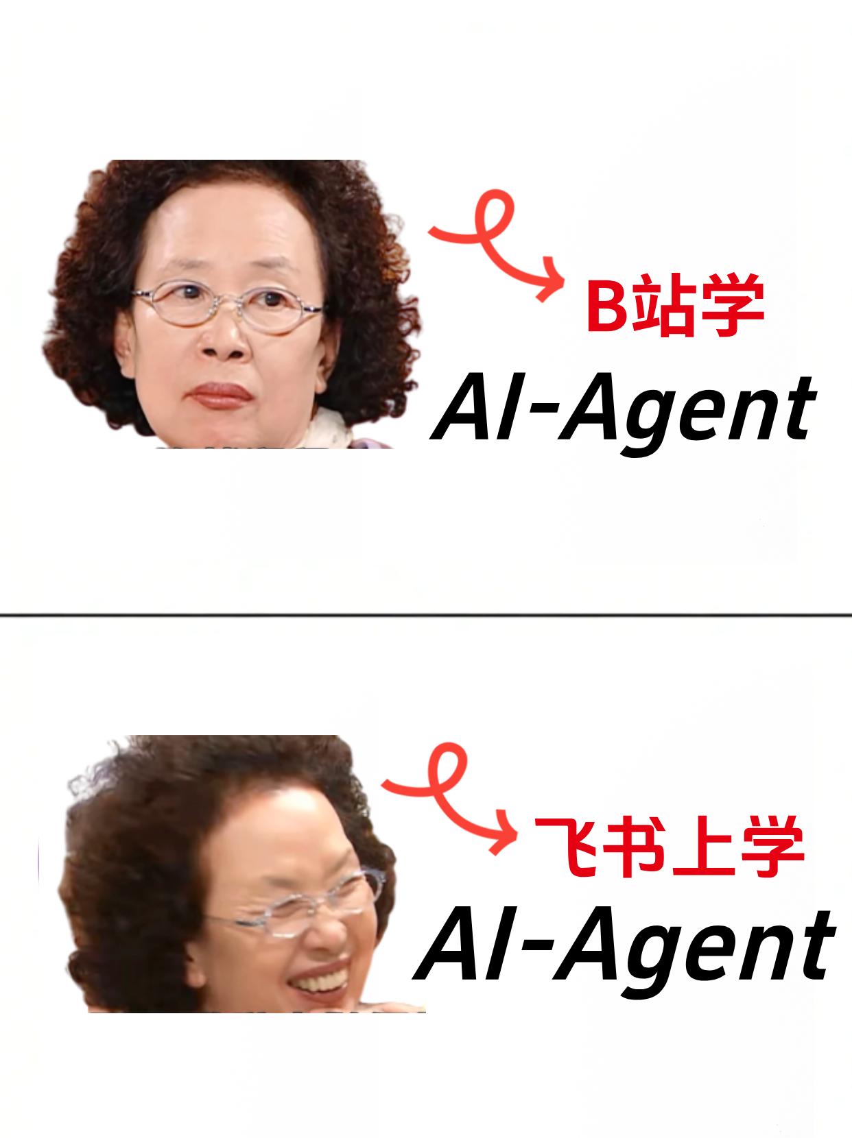 建议都去飞书上学Agent，真的很难找全！！
agent LLM 大模型应用 程